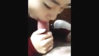 blowjob big-cock cute homemade huge-cock japanese korean pov